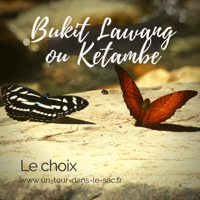 Bukit Lawang le choix