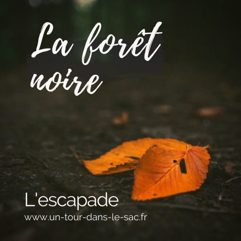 Foret noire escapade