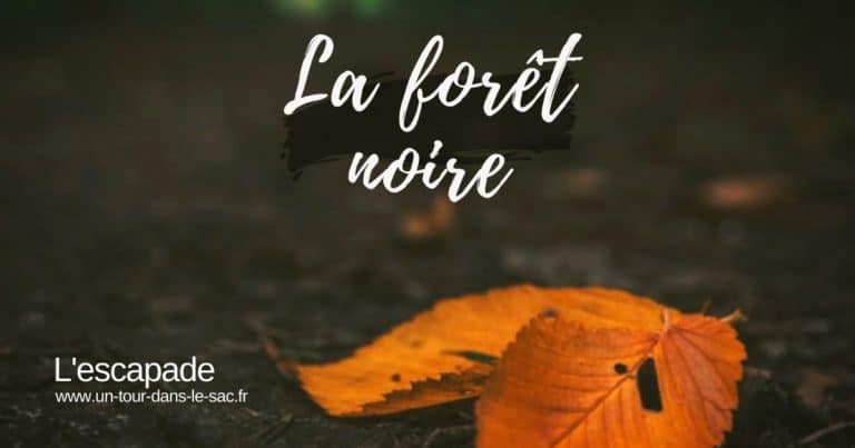 Visiter Foret noire