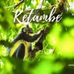 Jungle de Ketambe