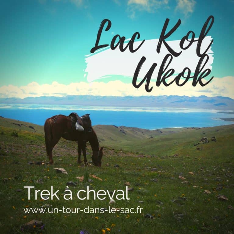 Lac kol Ukok trek à cheval