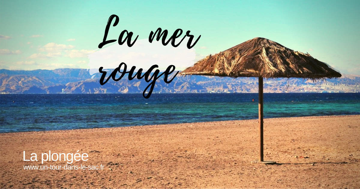 Mer Rouge en Jordanie guide de plongée et de snorkeling à Aqaba