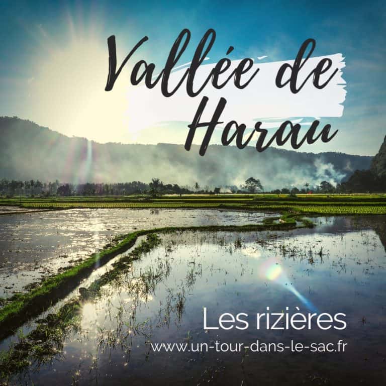 Vallée daharau les risières