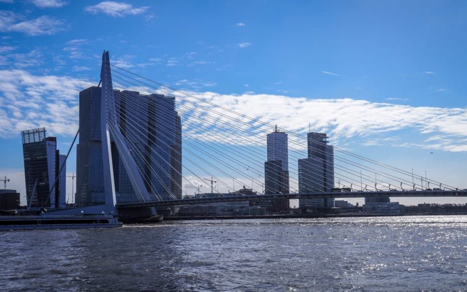 visite rotterdam Pont Erasme Rotterdam