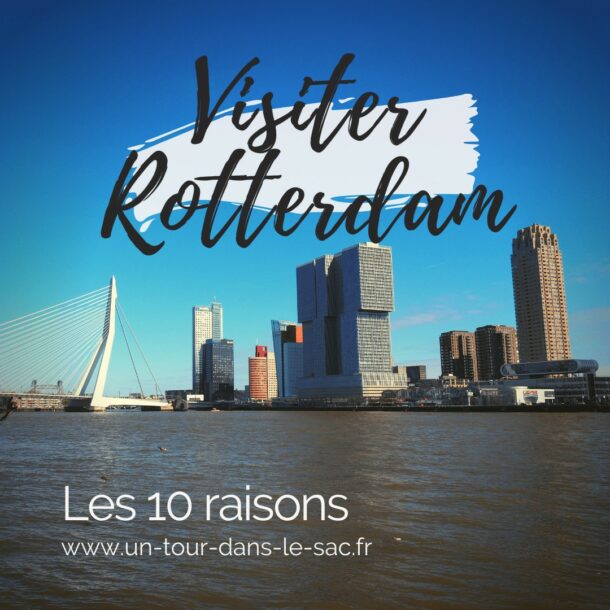 10 raisons de visiter Rotterdam