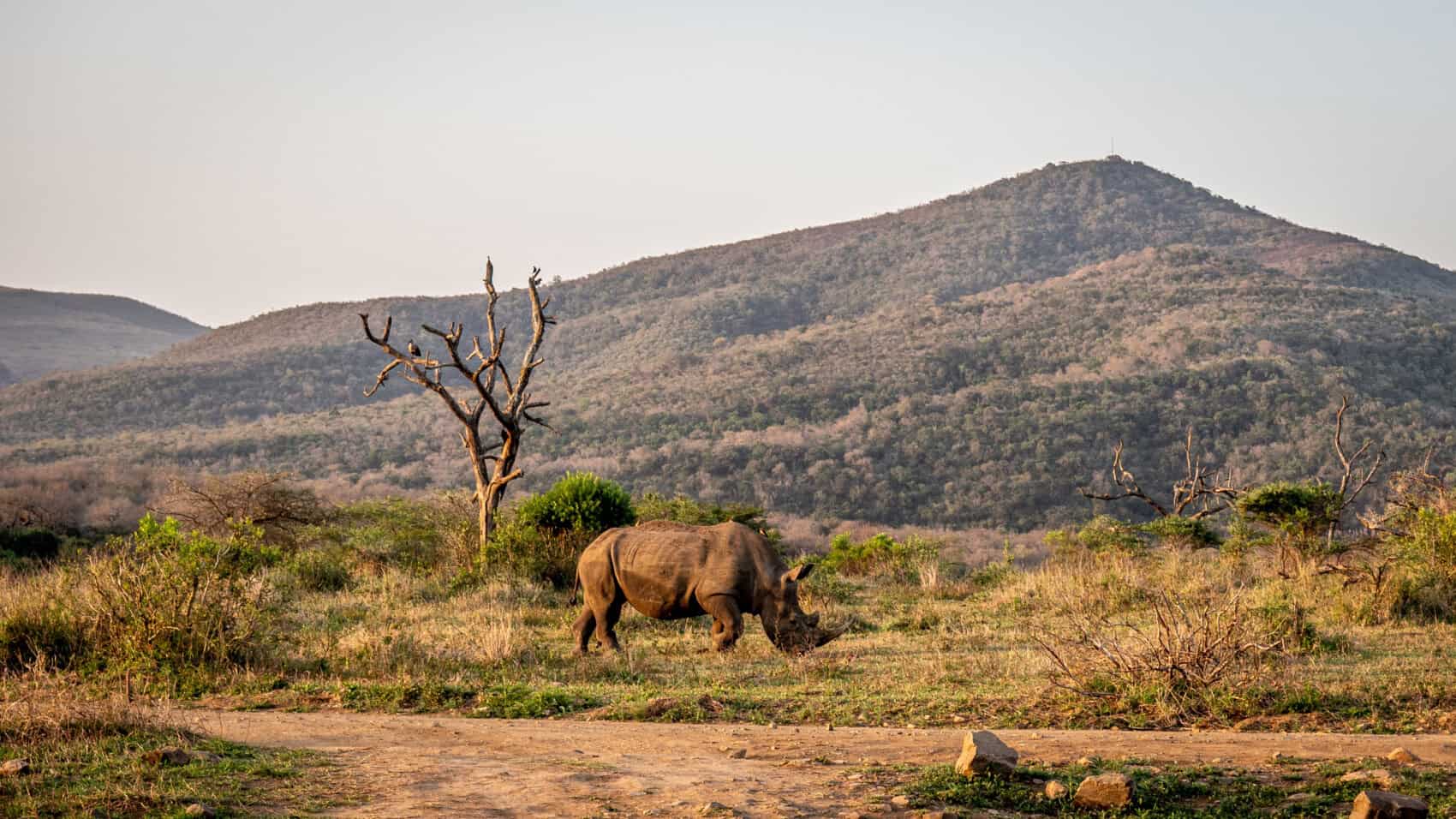 Voyage Afrique du Sud