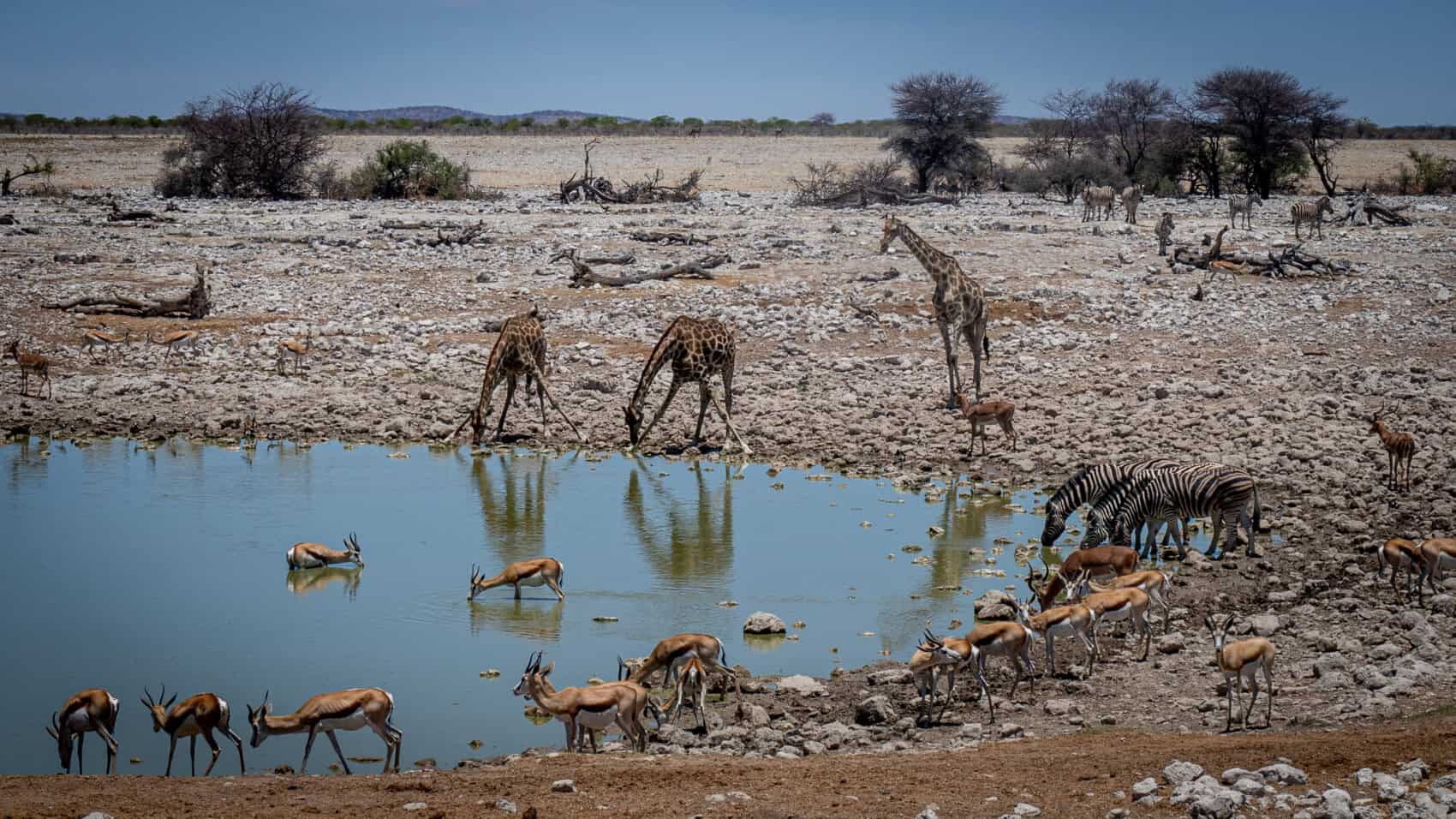 que voir namibie