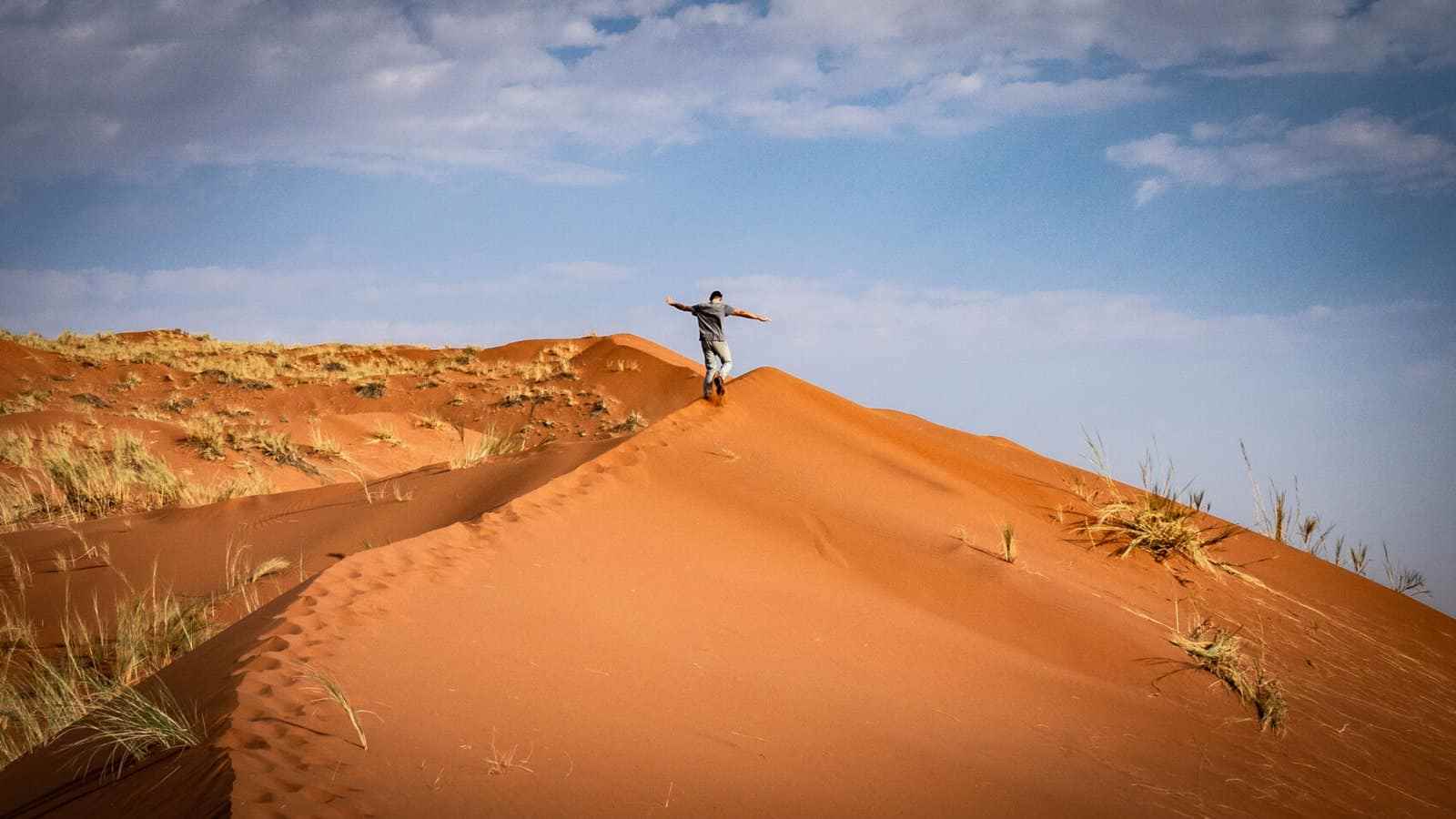 parc Namib Naukluf : Sossuvlei, non loin de Dead Vlei