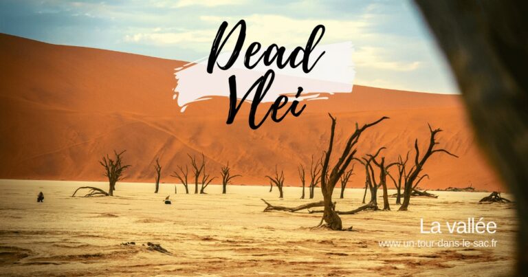 Vallee Dead Vlei