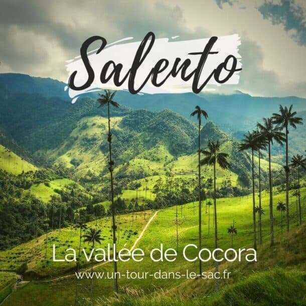 Les 13 meilleures choses à faire à Salento en Colombie et la vallée de Cocora