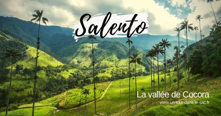 Paysage de la vallée de Cocora avec palmiers et montagnes verdoyantes.
