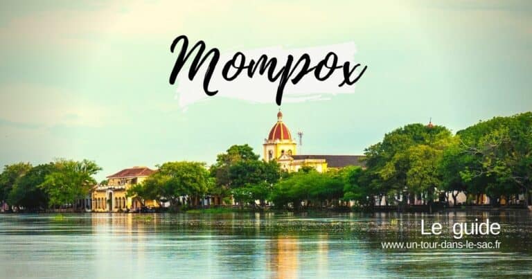 Vue du fleuve avec bâtiments et arbres à Mompox en Colombie.