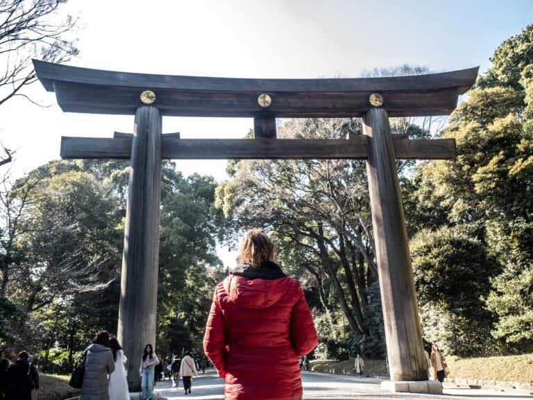 Personne devant une grande porte torii en bois dans un parc à Tokyo.