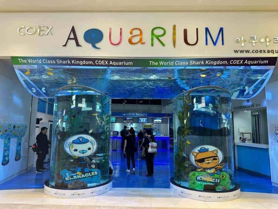 Que voir à Séoul quand il pleut ? Aquarium