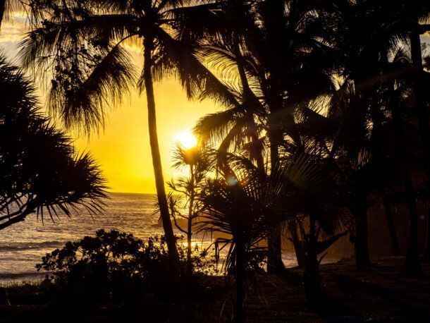 8 plus belles plages île Réunion