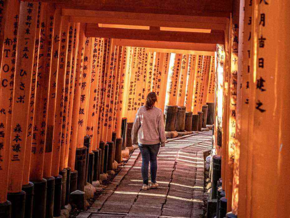 que voir à Kyoto : les torii