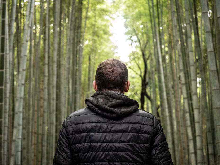 Arashiyama forêt bambous Kyoto