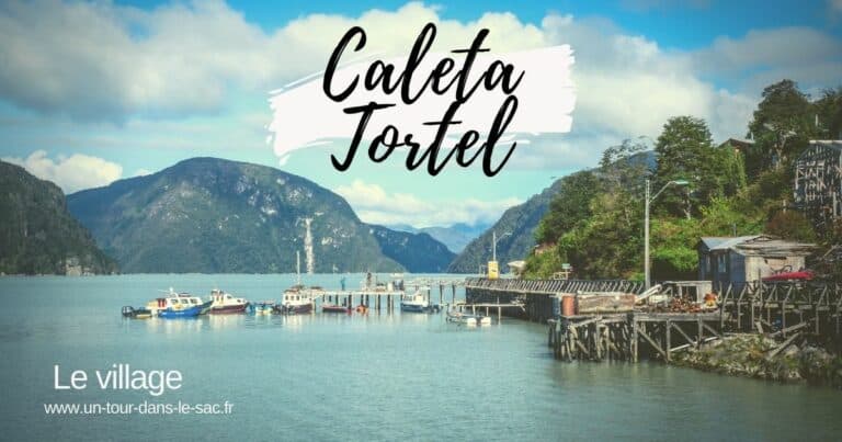 Vue du village de Caleta Tortel avec ses ponts en bois et montagnes environnantes.