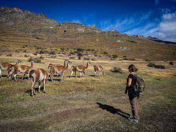 Que voir Parque Patagonia