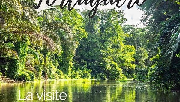 Visiter le Parc National de Tortuguero