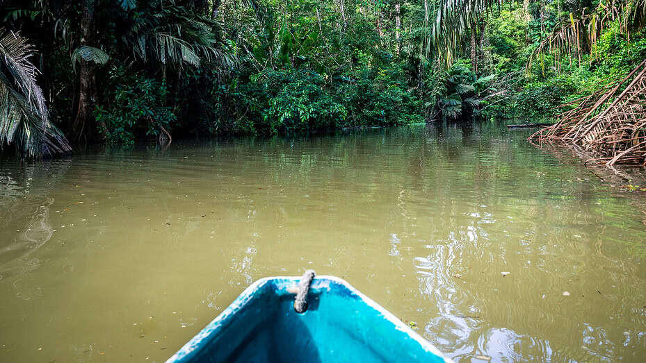 bateau Tortuguero