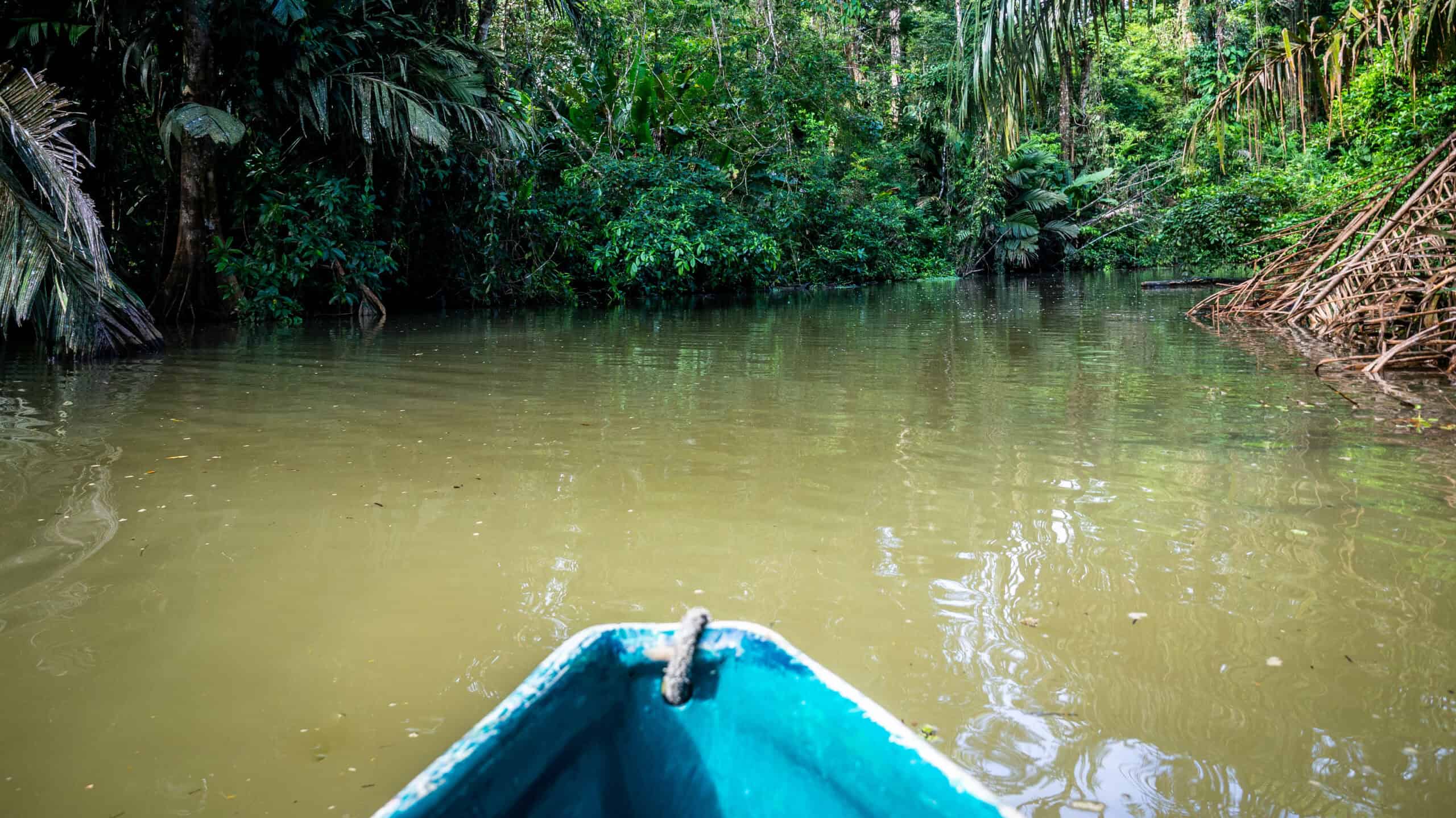 Barque Tortuguero