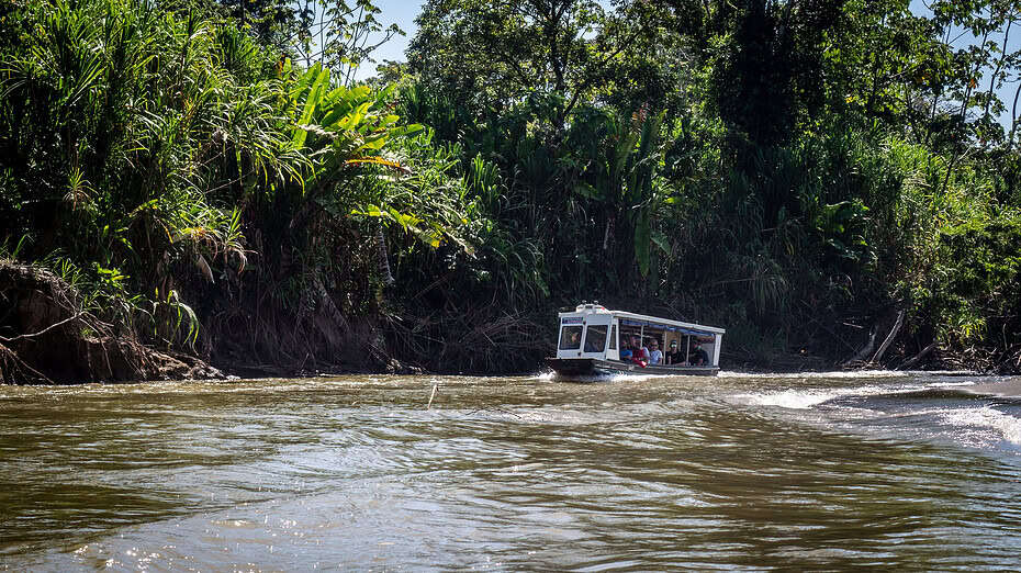 bateau La Pavona Tortuguero