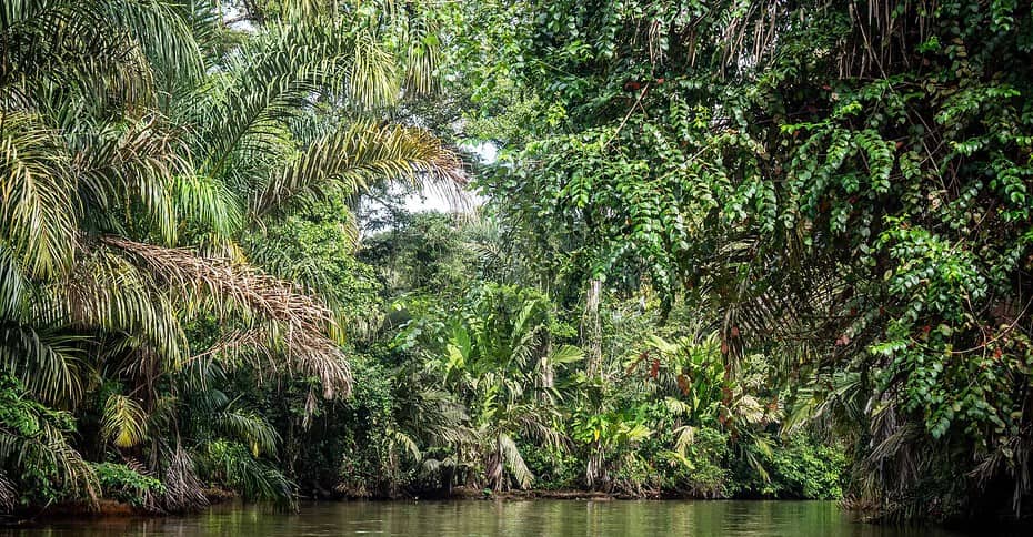 Tortuguero au Costa Rica