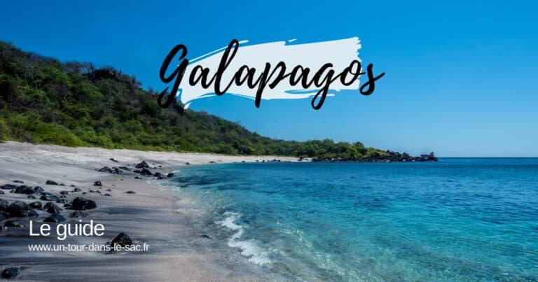 Plage de sable avec eau turquoise et végétation en arrière-plan.
