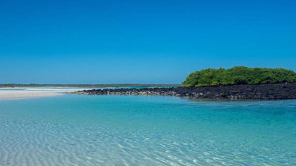 Tortuga Bay Galapagos