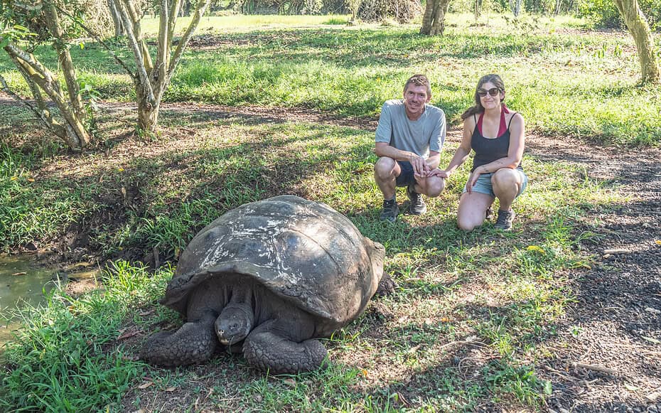 Tortues galapagos au ranche El Chato