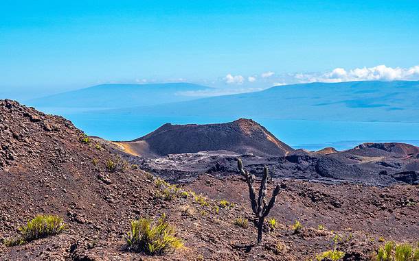 isabela les les volcans