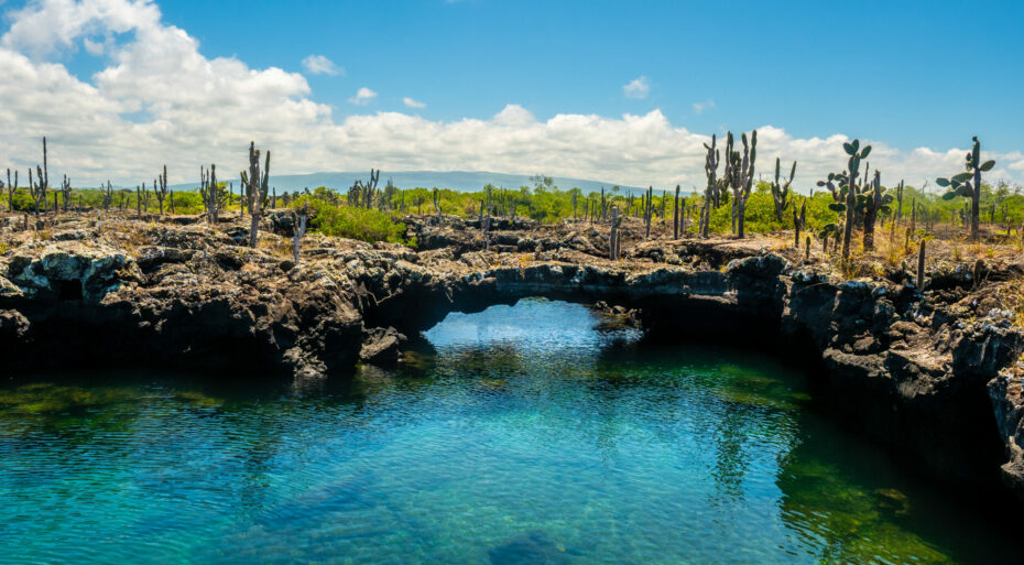 Los Tuneles galapagos