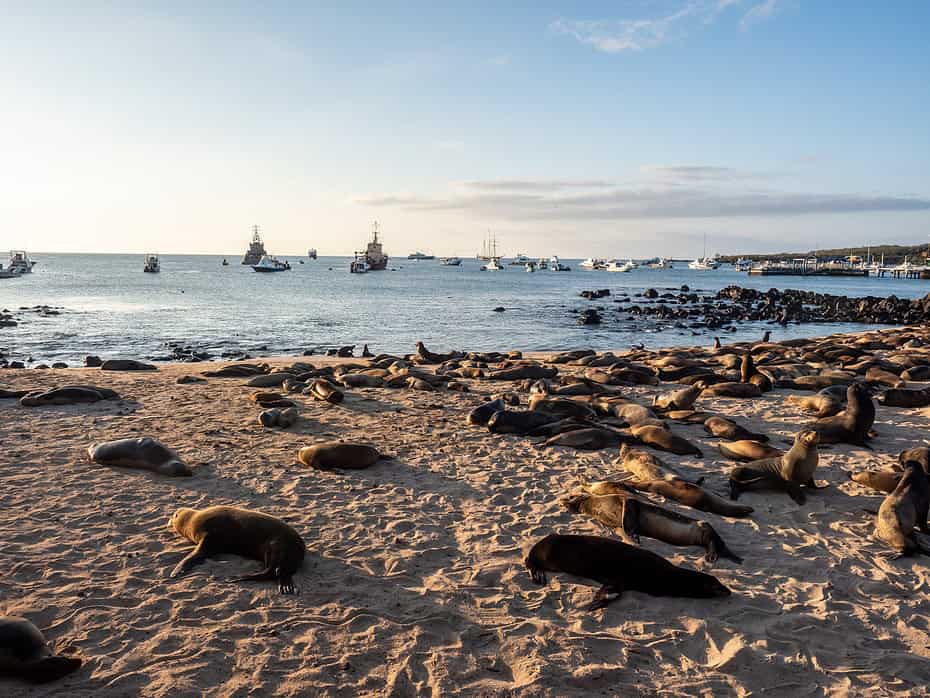 Malecon San Cristobal