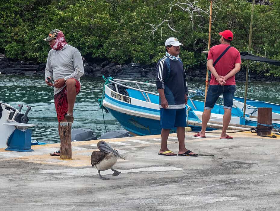 Santa Cruz Galapagos