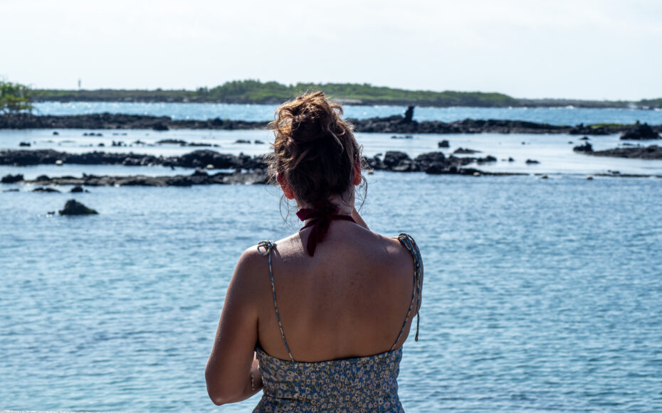 Concha de Perla Isabela Galapagos