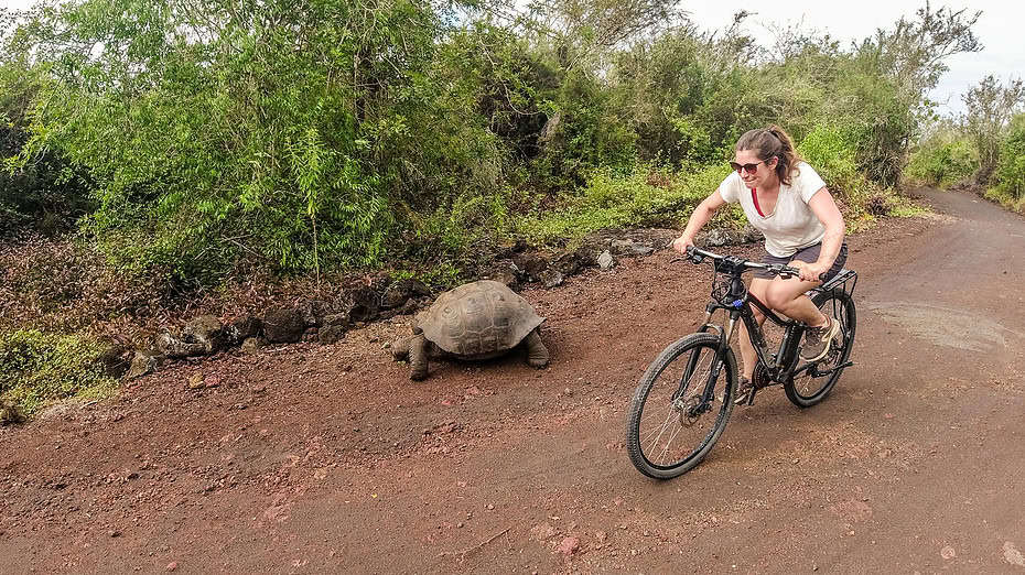 vélo Isabela galapagos