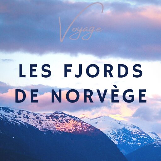 ebook norvège