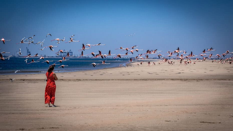 baie de swakopmund