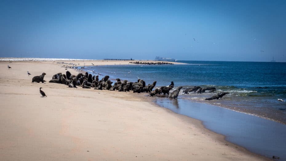 la baie de Swakopmund