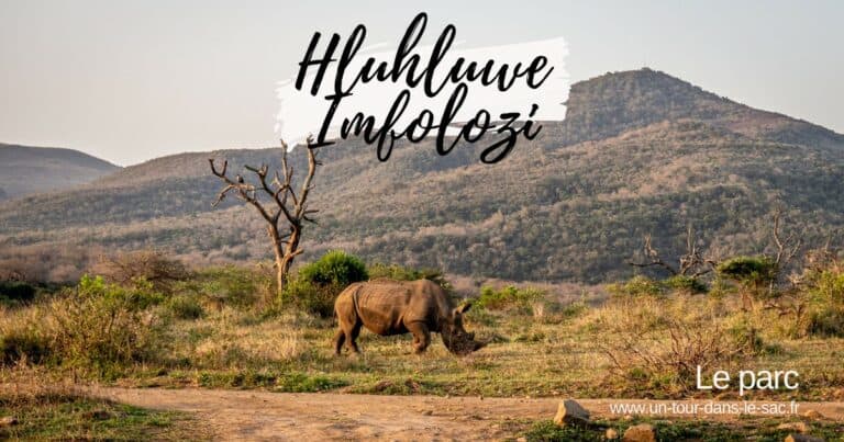 Rhinocéros dans un parc naturel avec montagnes en arrière-plan.