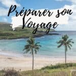 Plage avec deux palmiers, mer et collines en arrière-plan.