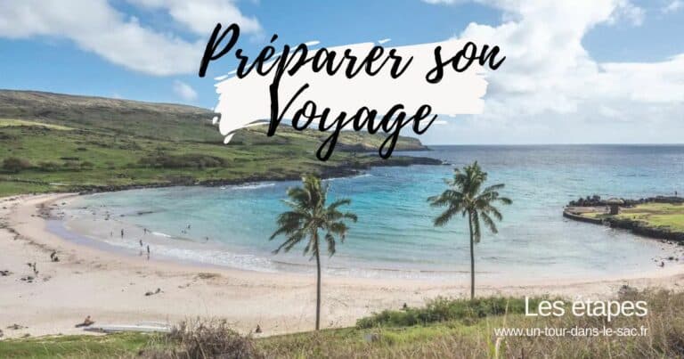 Plage avec deux palmiers, mer et collines en arrière-plan.