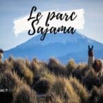 Sajama en Bolivie