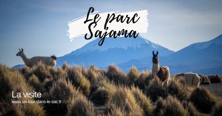 Sajama en Bolivie