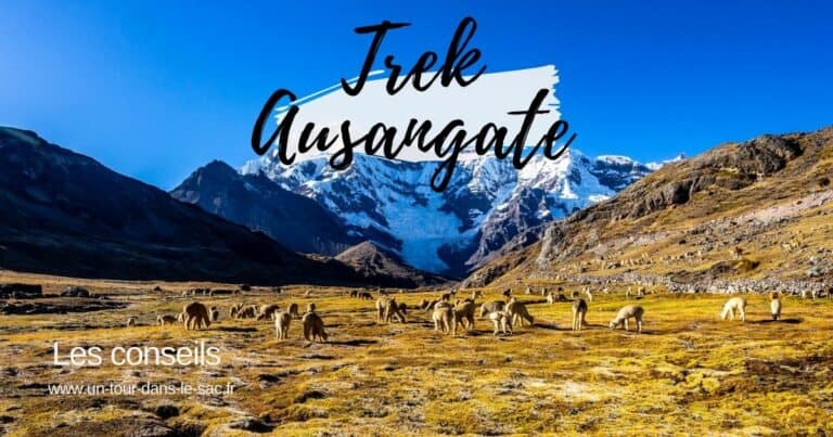 Paysage de montagnes avec troupeau de lamas dans la vallée d'Ausangate.