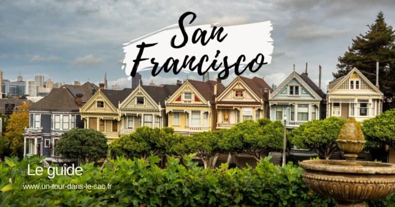Maisons victoriennes colorées à San Francisco, vue depuis un parc.
