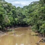 rivière amazonie Cuyabeno équateur