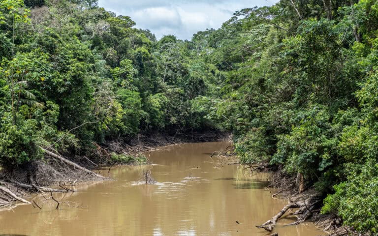 rivière amazonie Cuyabeno équateur