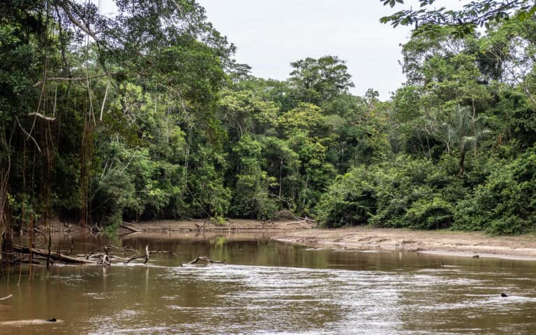 amazonie Cuyabeno fleuve